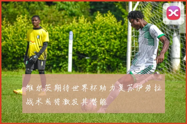 维尔茨期待世界杯助力复苏伊劳拉战术或将激发其潜能