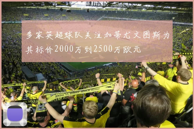 多家英超球队关注加蒂尤文图斯为其标价2000万到2500万欧元